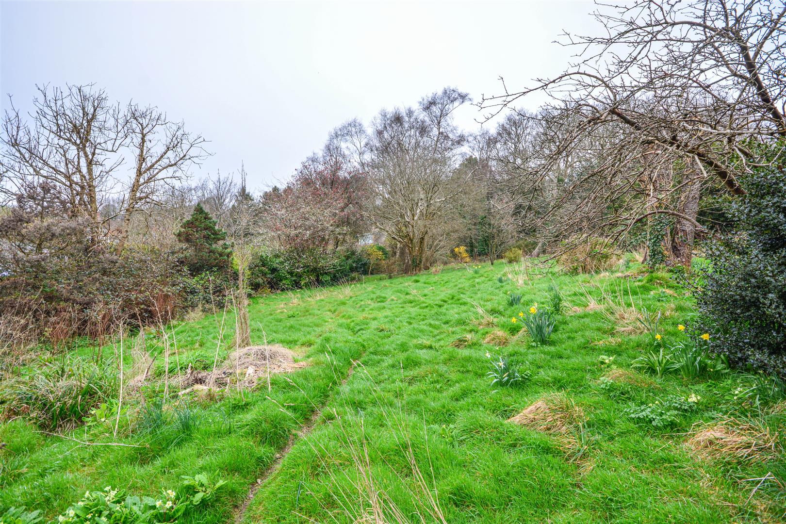 Ochiltree Road, Hastings Rush, Witt & Wilson